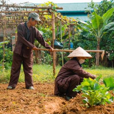 Nuôi dưỡng Hệ sinh thái
